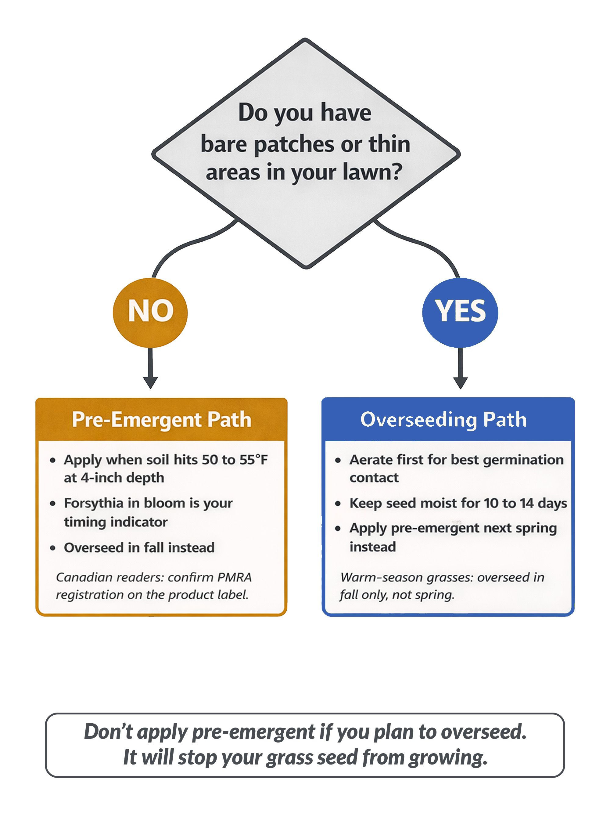 Pre-Emergent or Overseeding